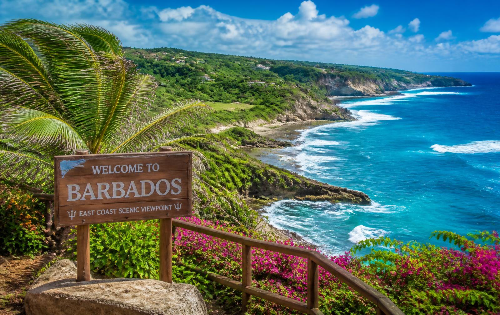 Barbados east coast scenic viewpoint on a luxury island tour